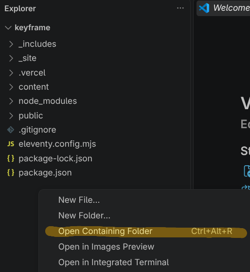 Right-click menu next to the VS Code explorer panel