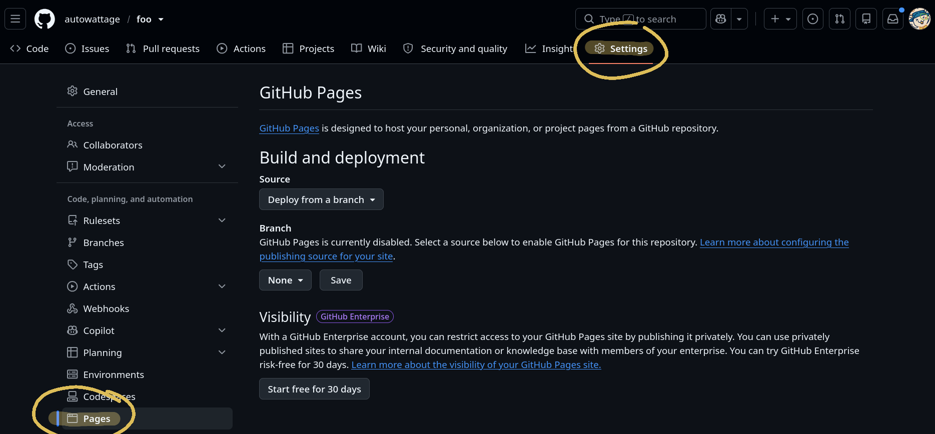 Github settings page